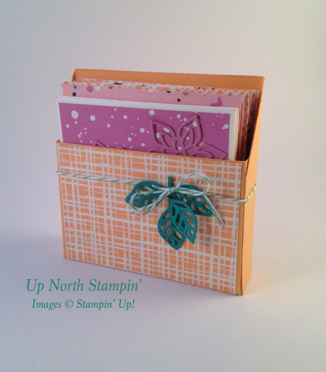Playful Palette Box Notecards Stampin' Up! Stampin' Up North