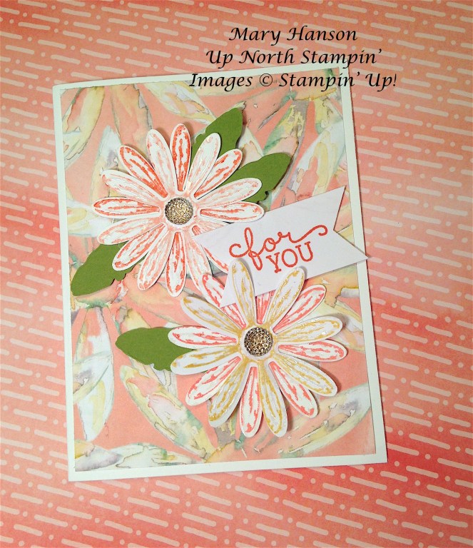 Daisies Coral For You Birthday Blooms Up North Stampin'