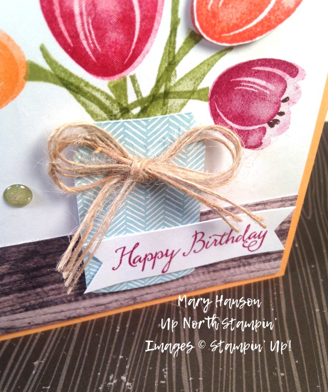 Tranquil Tulip Blue Cup Close Up