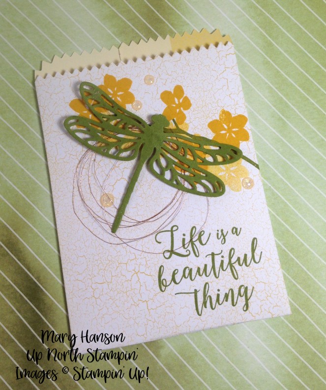 Treat Bag Colorful Seasons Mary Hanson Up North Stampin'