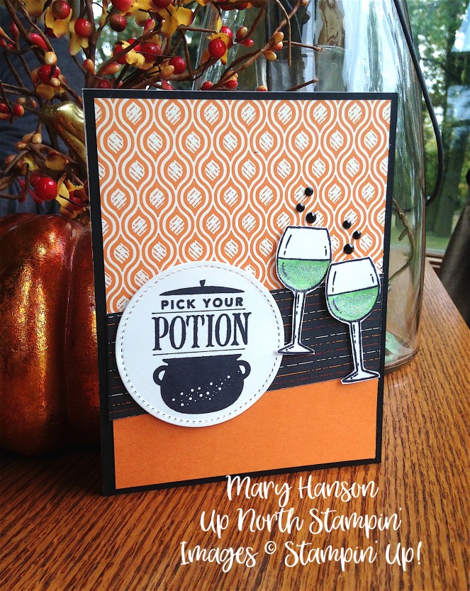 Half Full - Festive Phrases - Stampin' Up! - Up North Stampin' - Mary Hanson