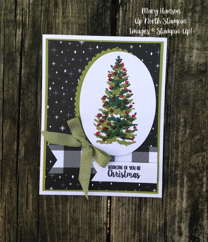 Season Like Christmas 1 - Stampin' Up! - Merry Little Christmas - Up North Stampin' - Mary Hanson