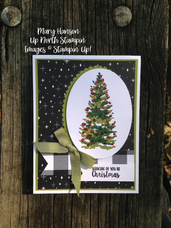 Season Like Christmas 2 - Stampin' Up! Merry Little Christmas - Mary Hanson - Up North Stampin'