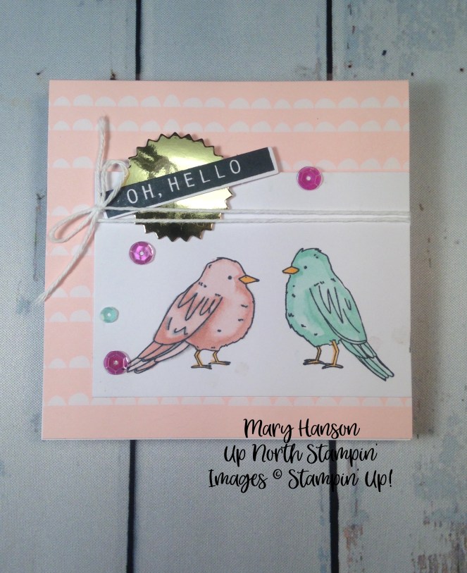 Color Me Happy Kit - Birds - Stampin' Up! - Mary Hanson - Stampin' Blends - Up North Stampin'