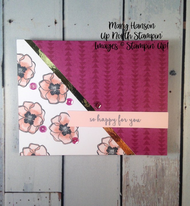 Color Me Happy Kit - Stampin' Up! - Stampin' Blends - Mary Hanson - Up North Stampin'