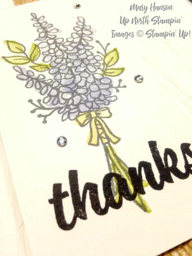 Lots of Lavender Close up - Mary Hanson - Up North Stampin'