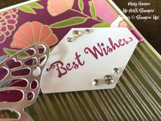 Sweet Soiree Designer Series Paper - Butterflies Thinlits Dies - Up North Stampin' - Mary Hanson