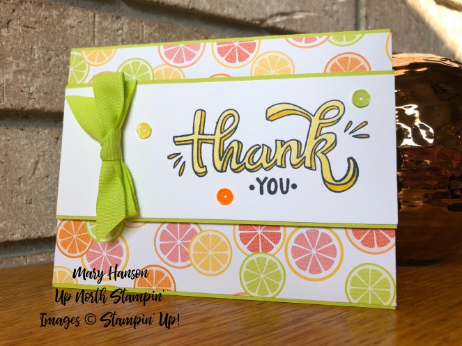 Tutti Frutti DSP 2 - Color Me Happy - Stampin' Blends - Mary Hanson - Up North Stampin'