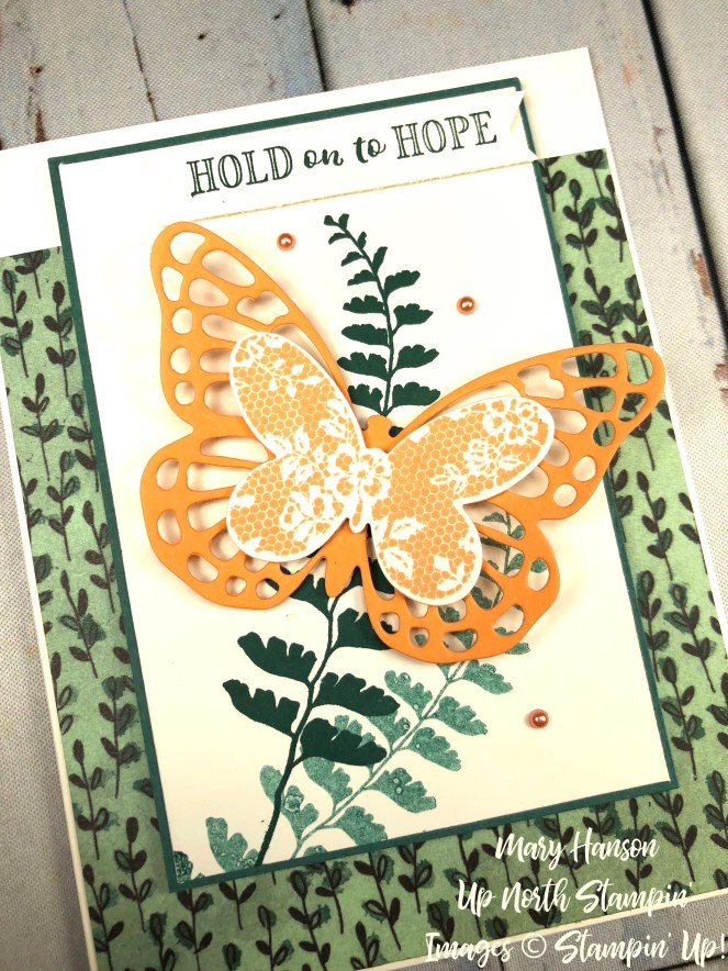 Butterfly Basics - Share What You Love - Grapefruit Grove - Hold On to Hope - Up North Stampin'
