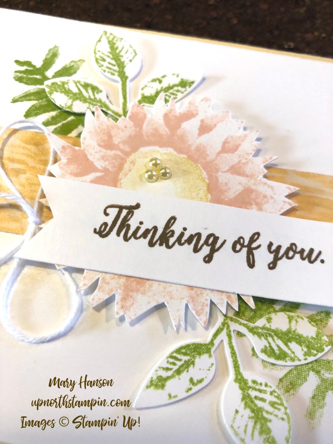Painted Harvest Close - Petal Pink - So Saffron - Leaf Punch - Mary Hanson - Up North Stampin' - Stampin' Up!
