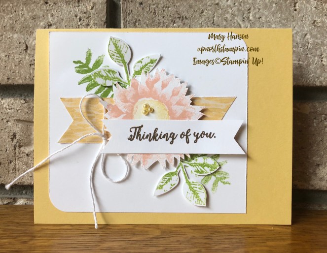 Painted Harvest - So Saffron - Petal Pink - Leaf Punch - Colorful Seasons - Mary Hanson - Up North Stampin'