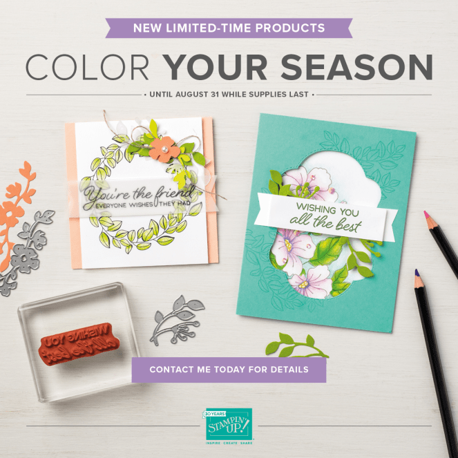 Colorful Seasons Blends Flyer