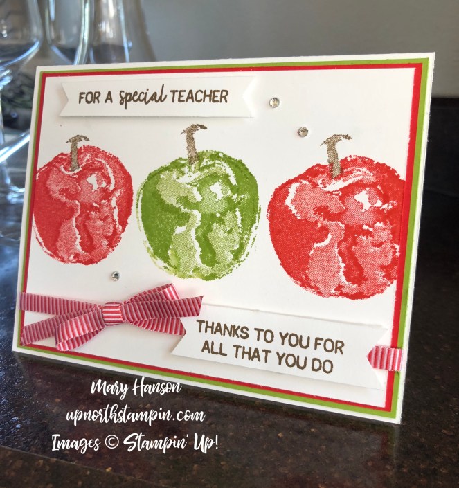 Picked for You 2 - Mary Hanson - Up North Stampin' - Stampin' Up!