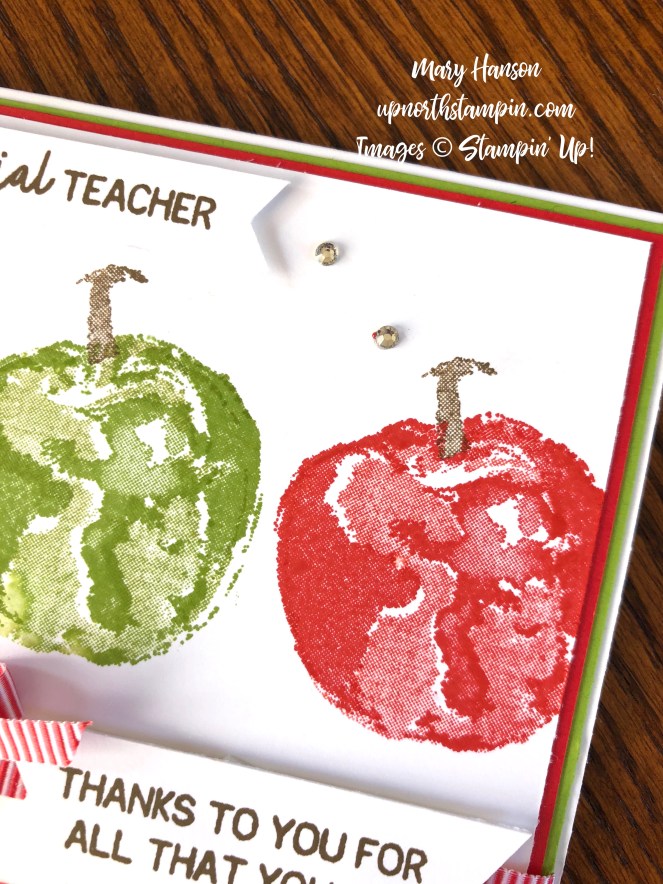 Picked For You Close - Mary Hanson - Up North Stampin' - Stampin' Up!