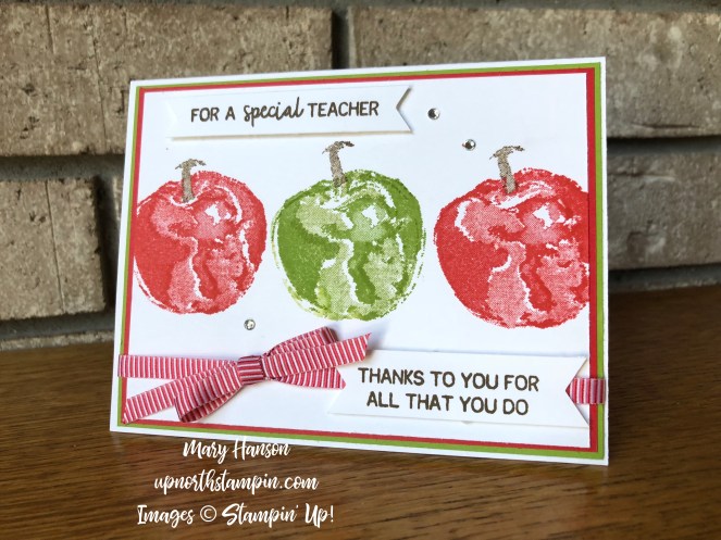 Picked For You - Mary Hanson - Up North Stampin' - Stampin' Up!