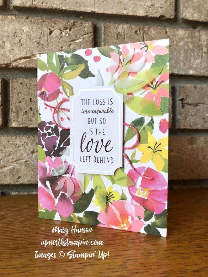 August Paper Pumpkin 1 - Mary Hanson - Up North Stampin'