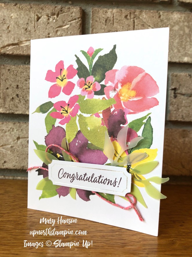 August Paper Pumpkin 2 - Mary Hanson