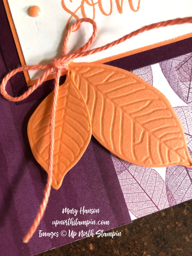 Close Up - Nature's Poem - Mary Hanson - Up North Stampin'