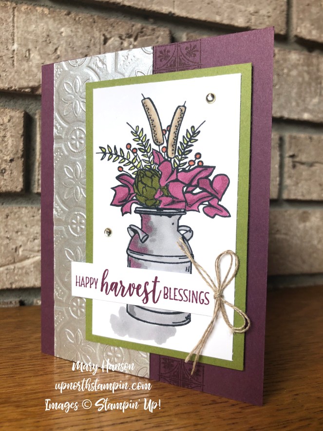 Country Home - Galvanized Metallic Paper - Tin Tile Dynamic Textured impressions Embossing Folder - Stampin' Up! - Mary Hanson - Up North Stampin' .jpeg