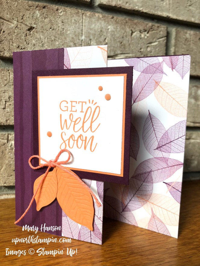 Healing Hugs - Rooted in Nature - Nature's Poem Designer Series Paper - Blackberry Bliss - Grapefruit Grove - Mary Hanson - Up North Stampin' - Stampin' Up!