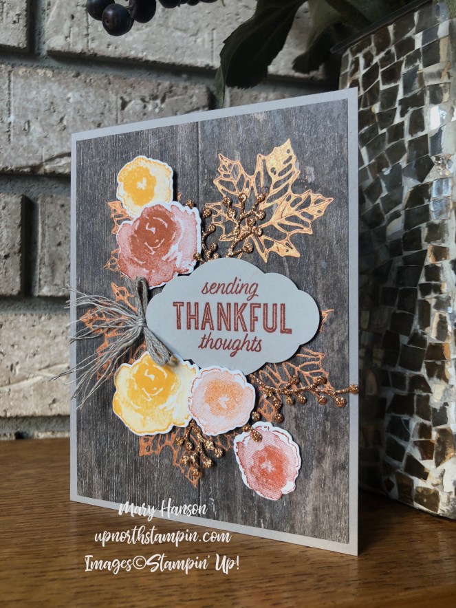 First Frost - Colorful Seasons - Bright Copper Shimmer Paint - Mary Hanson - Up North Stampin' - Stampin' Up!