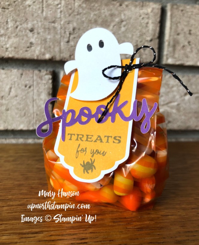 September Paper Pumpkin 2 - Mary Hanson - Up North Stampin'