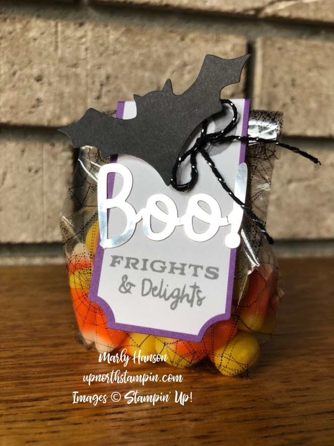 September Paper Pumpkin 2018 - 1 - Mary Hanson - Up North Stampin'