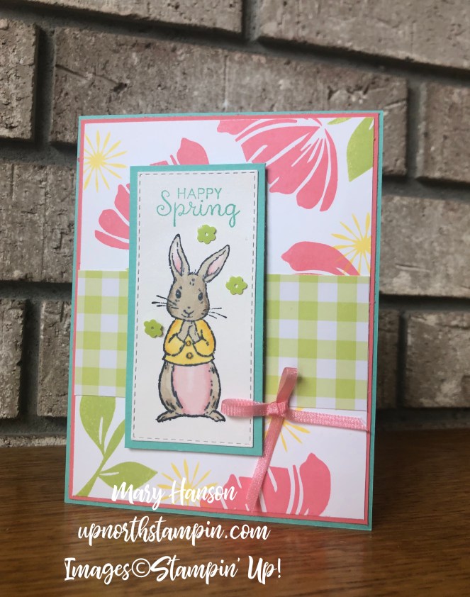 Fable Friends - Bloom by Bloom - Gingham Gala Designer Series Paper - Mary Hanson - Up North Stampin'