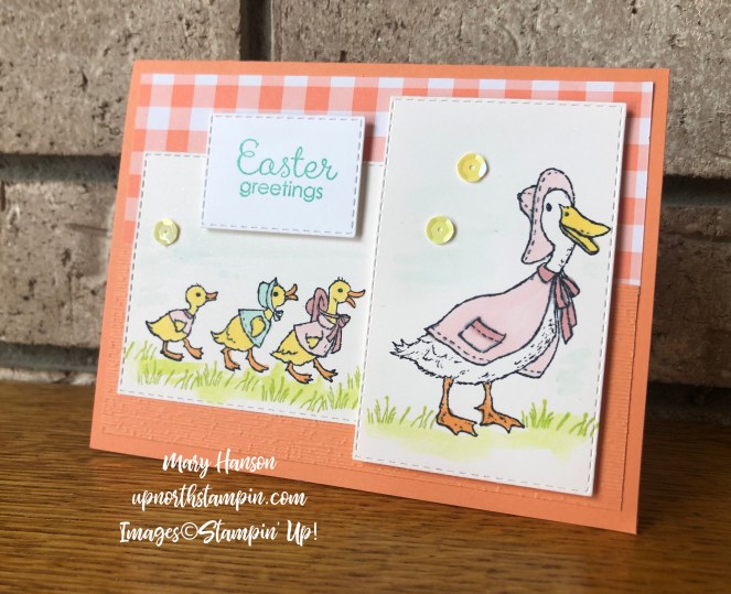 Fable Friends - Ducks - Gingam Gala Designer Series Paper - Mary Hanson - Up North Stampin'