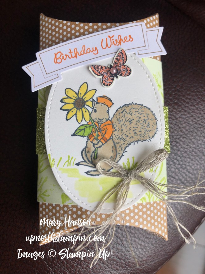 Fable Friends - Squirrel 1 - Kraft Pillow Boxes - Mary Hanson - Up North Stampin' - Varied Vases