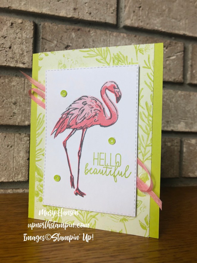 Fabulous Flamingo - Botanical Butterfly - Mary Hanson - Up North Stampin' - Stampin' Up!
