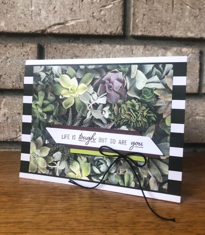 February Paper Pumpkin 1