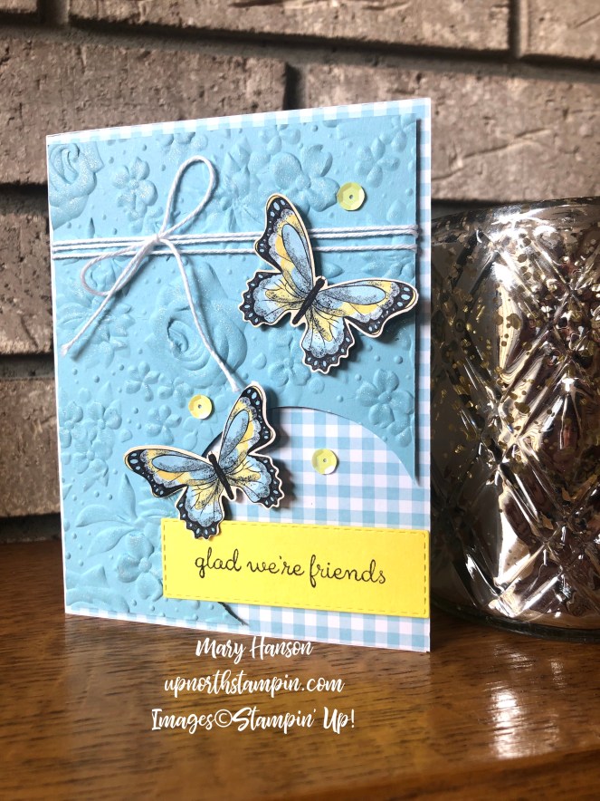 Balmy Blue - Botanical Butterfly - Circle Punch - Gingham Gala Designer Series Paper - Fable Friends - Mary Hanson - Up North Stampin'