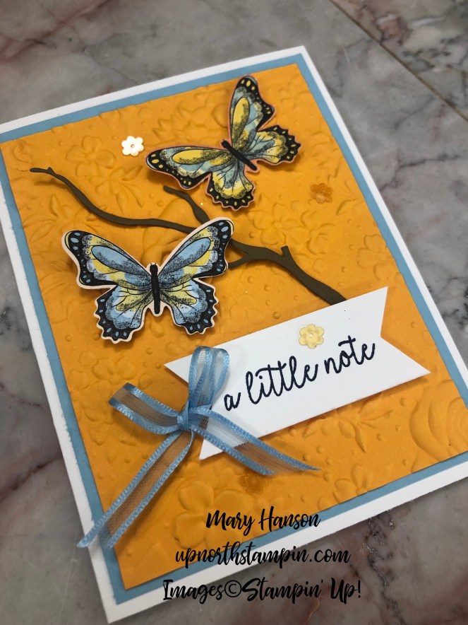 Botanical Butterflies Designer Series Paper - Country Floral Textured Impressions Embossing Folder - Butterfly Gala stamp set - Mango Melody - Mary Hanson - Up North Stampin' - Stampin' Up!