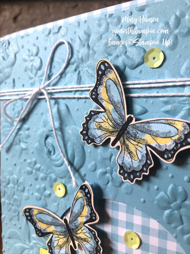 Close Up - Balmy Blue - Botanical Butterflies - Wink of Stella - Mary Hanson - Up North Stampin'