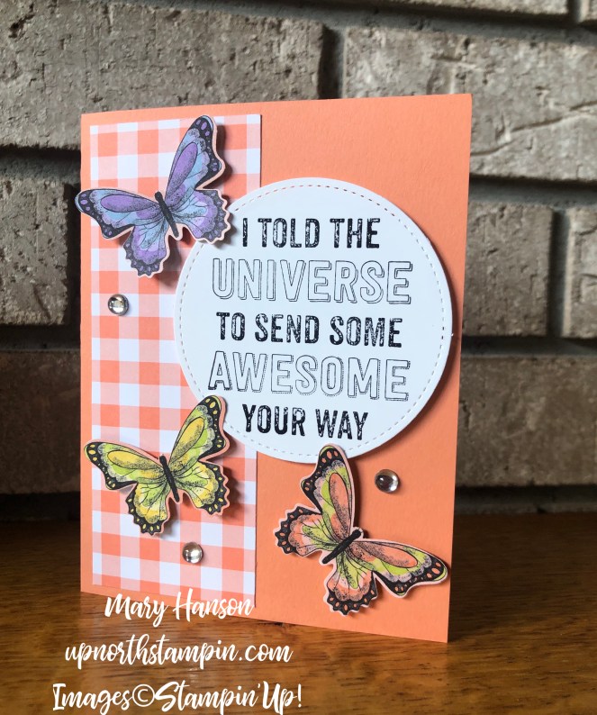 Genuine Gems - Botanical Butterflies Designer Series Paper - Gingham Gala Designer Series Paper - Grapefruit Grove - Mary Hanson - Up North Stampin'