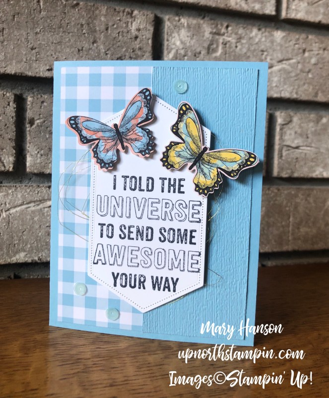Genuine Gems - Botanical Butterflies Designer Series Paper - Gingham Gala Designer Series Paper - Mary Hanson - Up North Stampin'