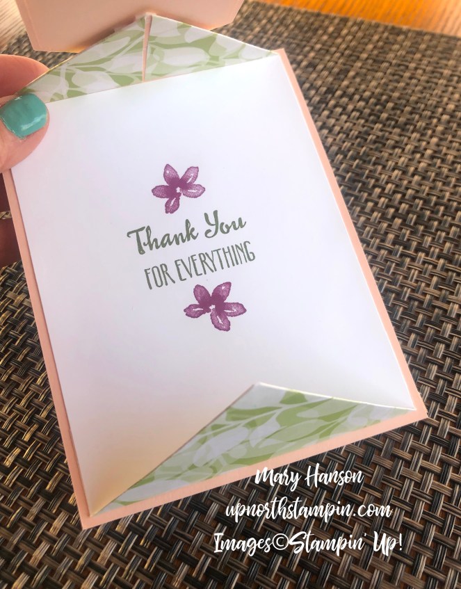 Petal Palette Bundle - Fancy Fold - Stitched Nested Labels Dies - Inside - Frosted Flower Embellishments - Mary Hanson - Up North Stampin'