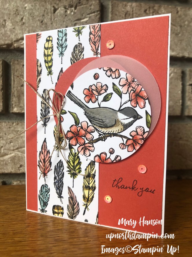 Bird Ballad Designer Series Paper - Vellum Cardstock - Free as a Bird Stamp Set - Terra Cotta Tile - Mary Hanson - Up North Stampin' - Stampin' Up!