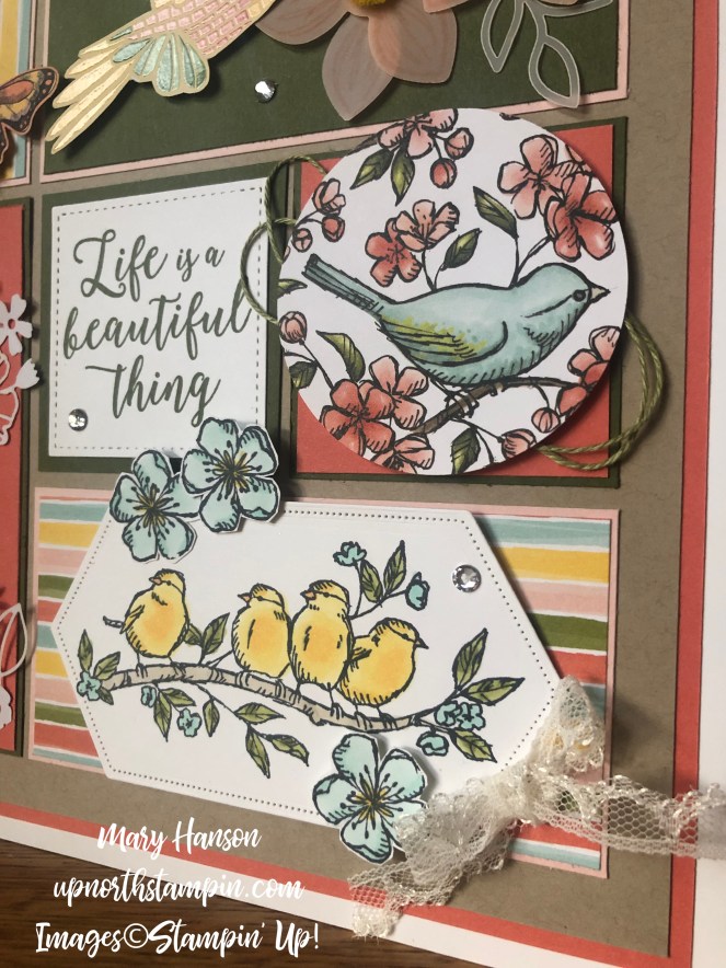Summer Sampler 2019 #2 - Botanical Butterfly - Mood Mosaic - Bird Ballad - Mary Hanson - Up North Stampin' - Stampin' Up!