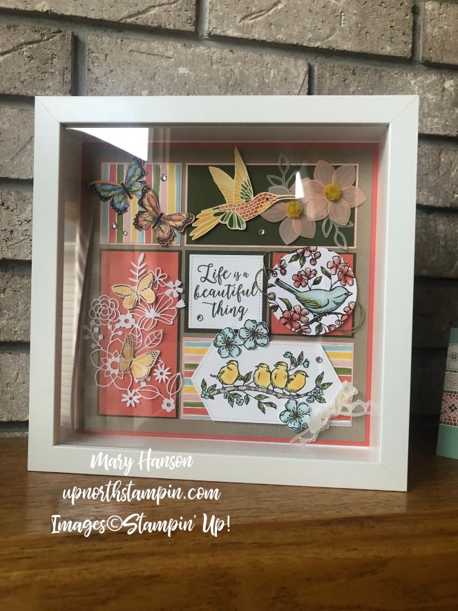 Summer Sampler 2019 - Framed - Botanical Butterfly - Mood Mosaic - Bird Ballad - Mary Hanson - Up North Stampin' - Stampin' Up!