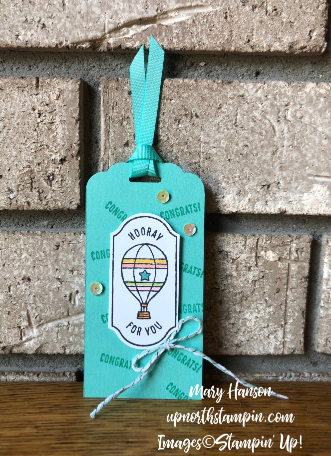 Time for Tags 5 - Timeless Label Punch - Mary Hanson - Up North Stampin' - Stampin' Up!