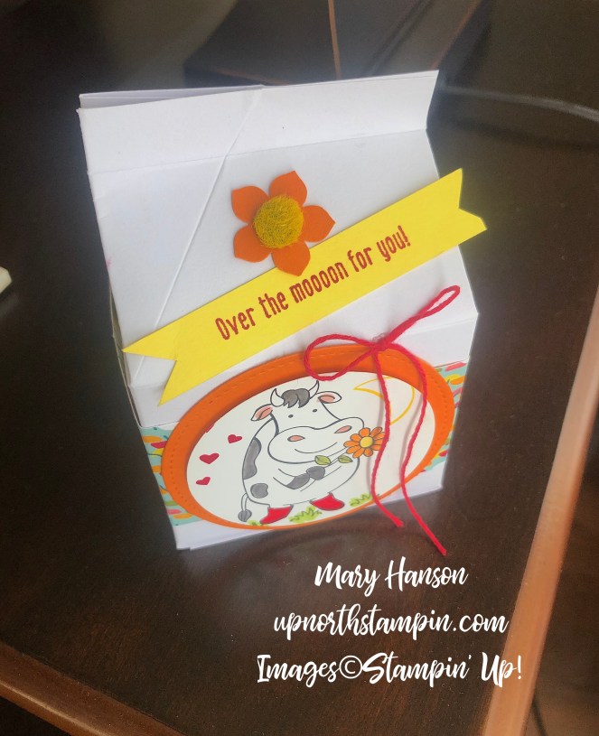 Over the Moon - Milk Carton - Mary Hanson - Up North Stampin'