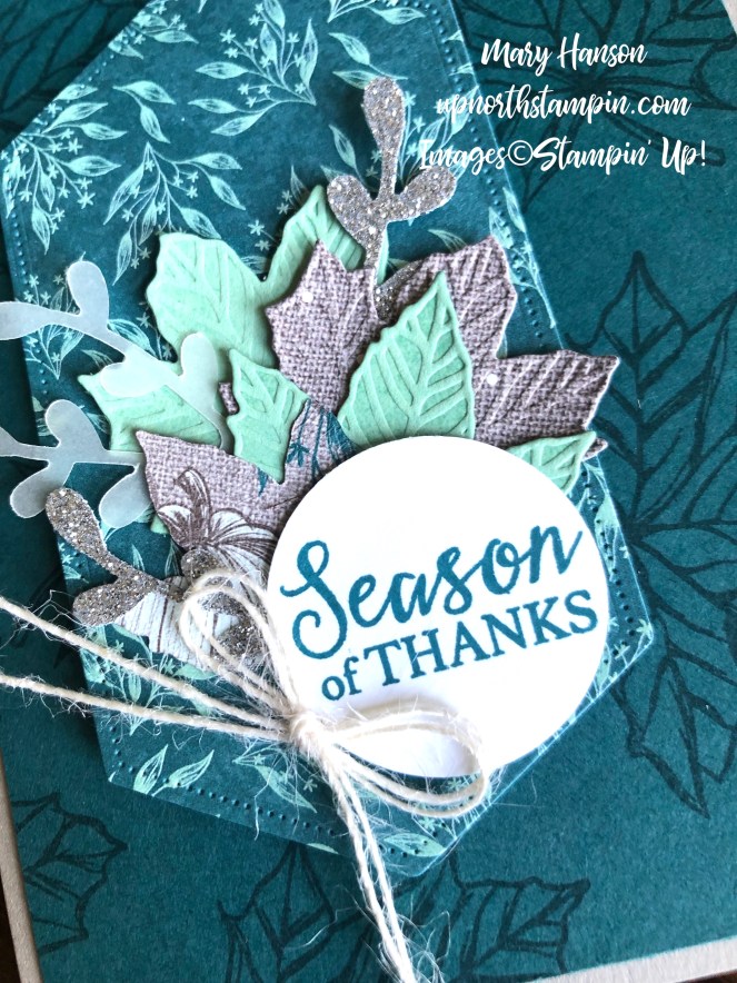 Come to Gather - Close Up Pretty Peacock - Stitched Nested Label Dies - Mary Hanson - Up North Stampin'