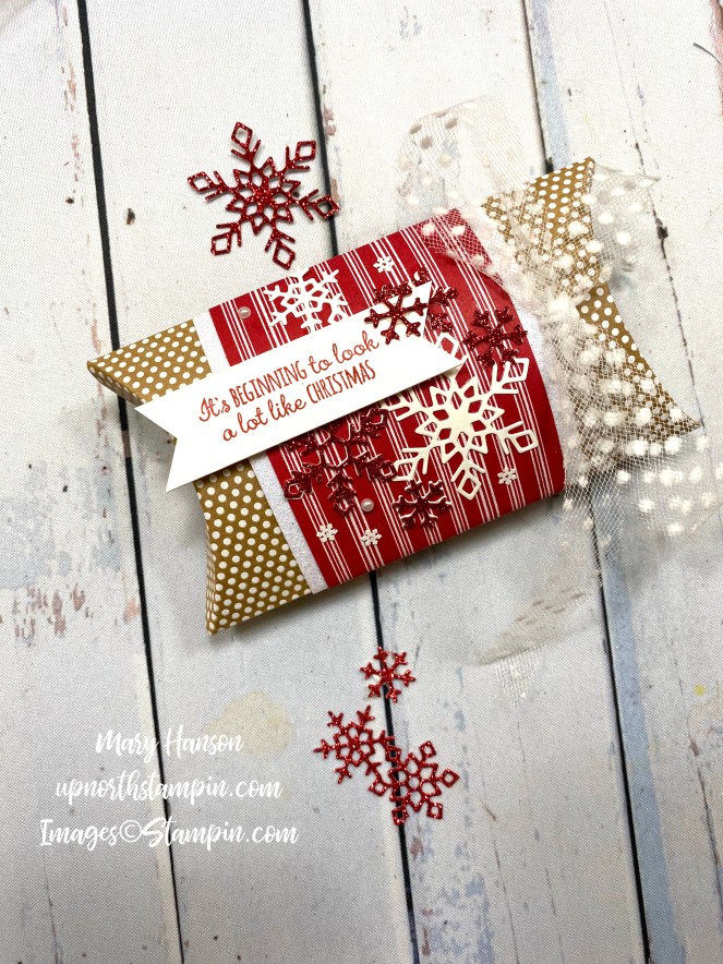 The opening - Kraft Pillow box - Merry Moose - Let it Snow - Mary Hanson - Up North Stampin'