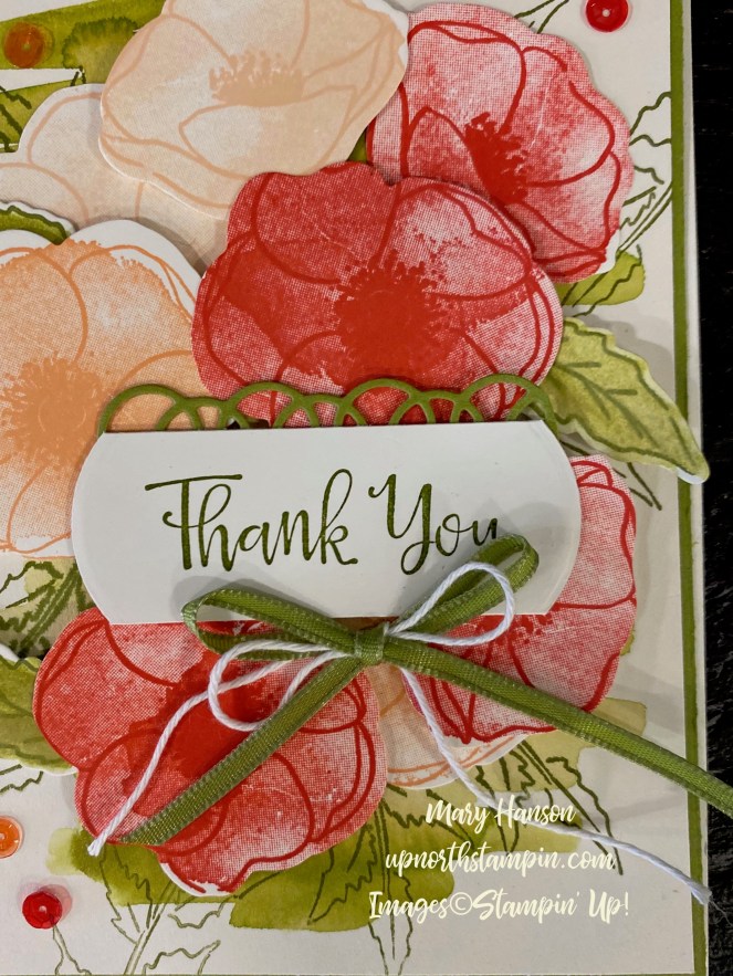 Peaceful Poppies Suite Close Up - Up North Stampin' - Mary Hanson