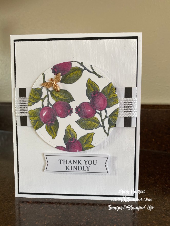 Botanical Prints Medley - 2 - Rich Razzleberry - Mary Hanson - Up North Stampin' - Stampin' Up!
