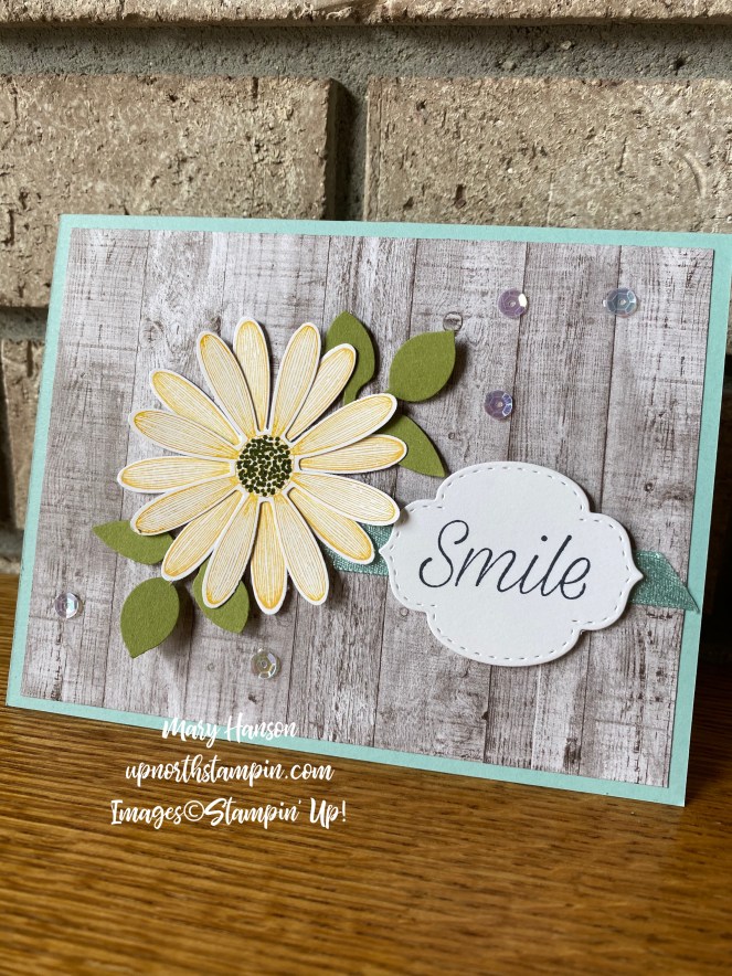 Daisy Punch - Daisy Lane - Stitched So Sweetly Dies - Mary Hanson - Up North Stampin'