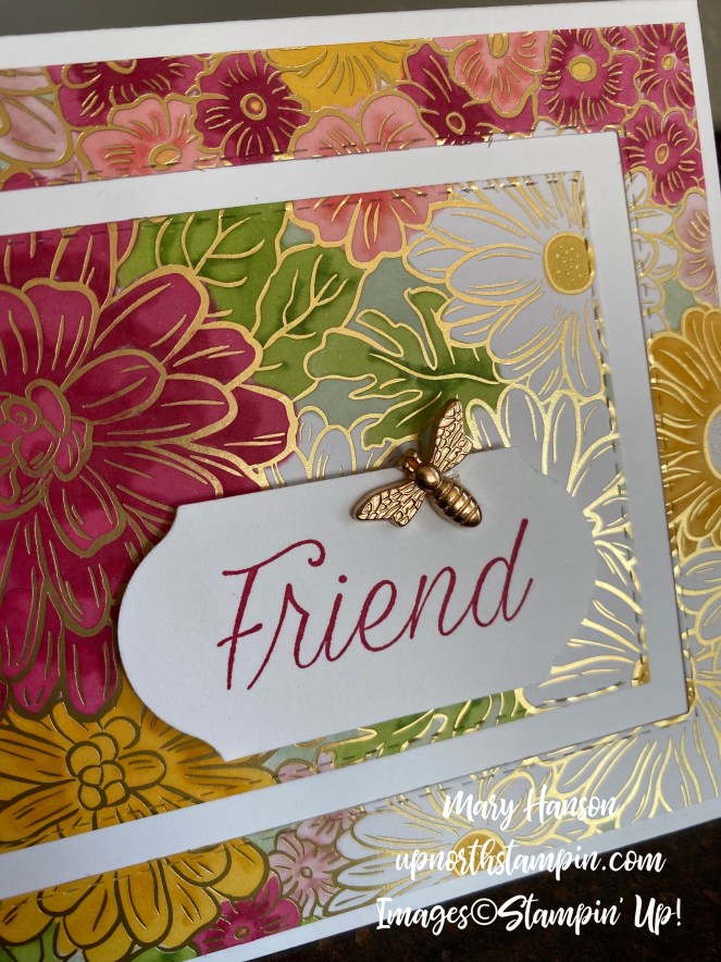 Ornate Gardens Designer Series Paper - Close Up - Daisy Lane - Mary Hanson - Up North Stampin'
