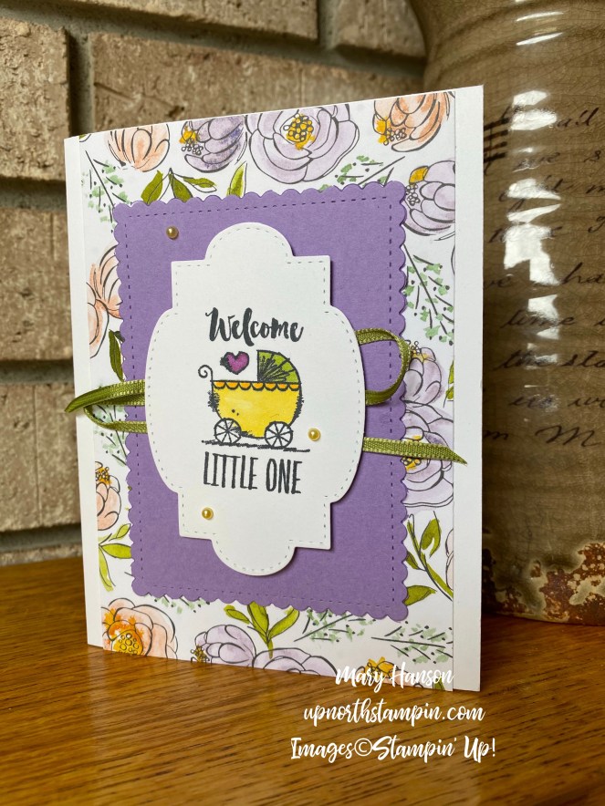 Baby Witty-cisms 2 - Mary Hanson - Up North Stampin